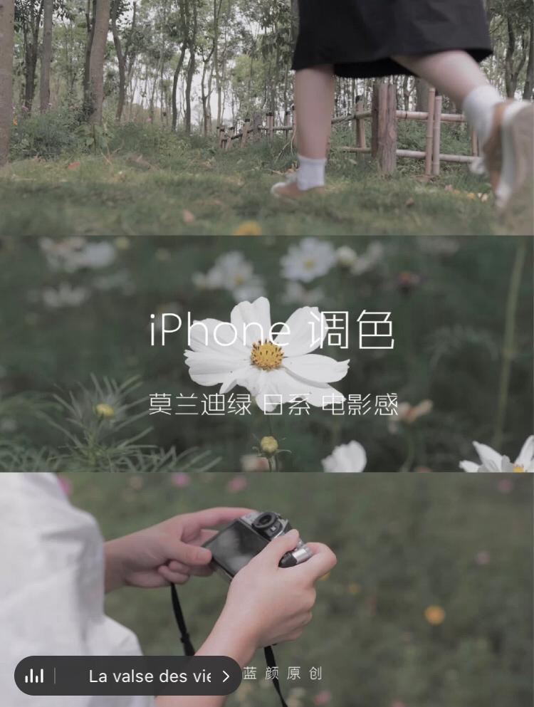 莫兰迪绿日系电影感