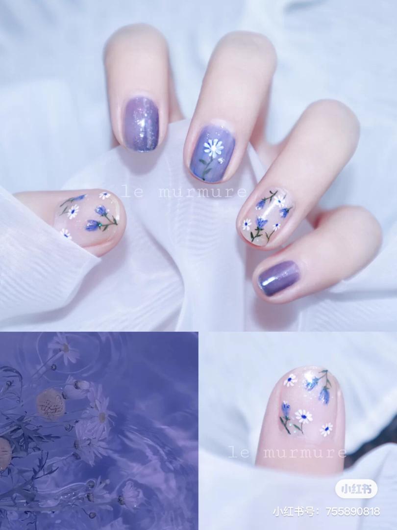 银河小雏菊