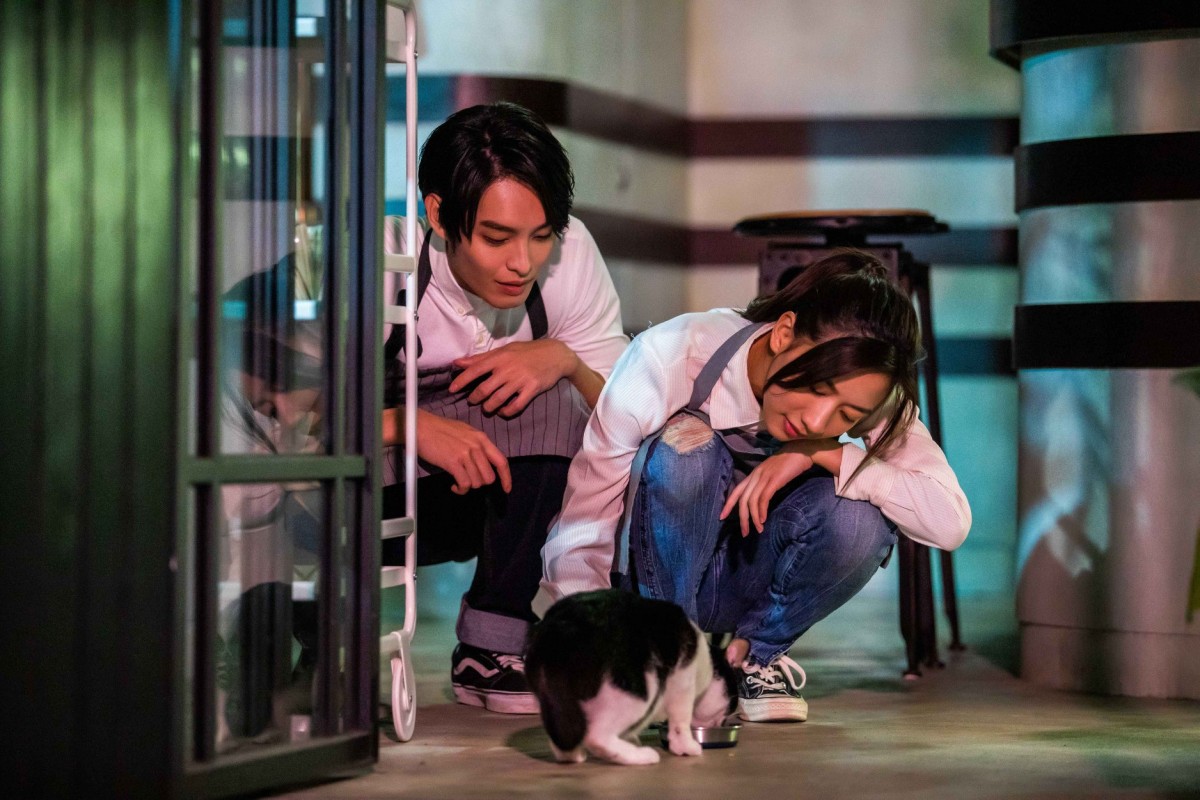 你比你自己想象中的还要勇敢,只是你自己不知道而已。