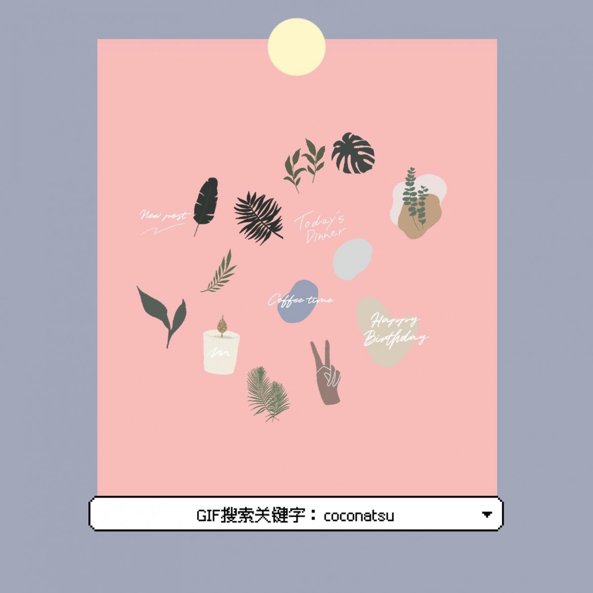 【GIF搜索关键字】莫兰迪系色块+手写英文字句：coconatsu