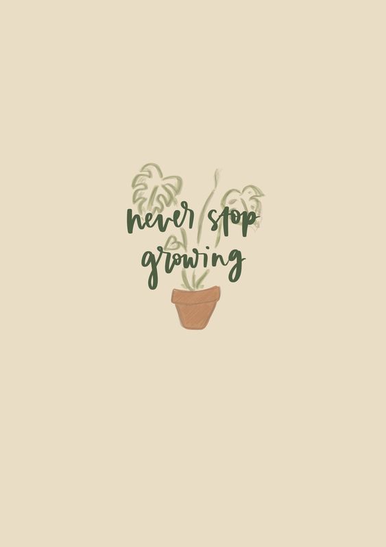 Never stop growing. 心若向阳,一路有光;一起努力向阳生长吧!