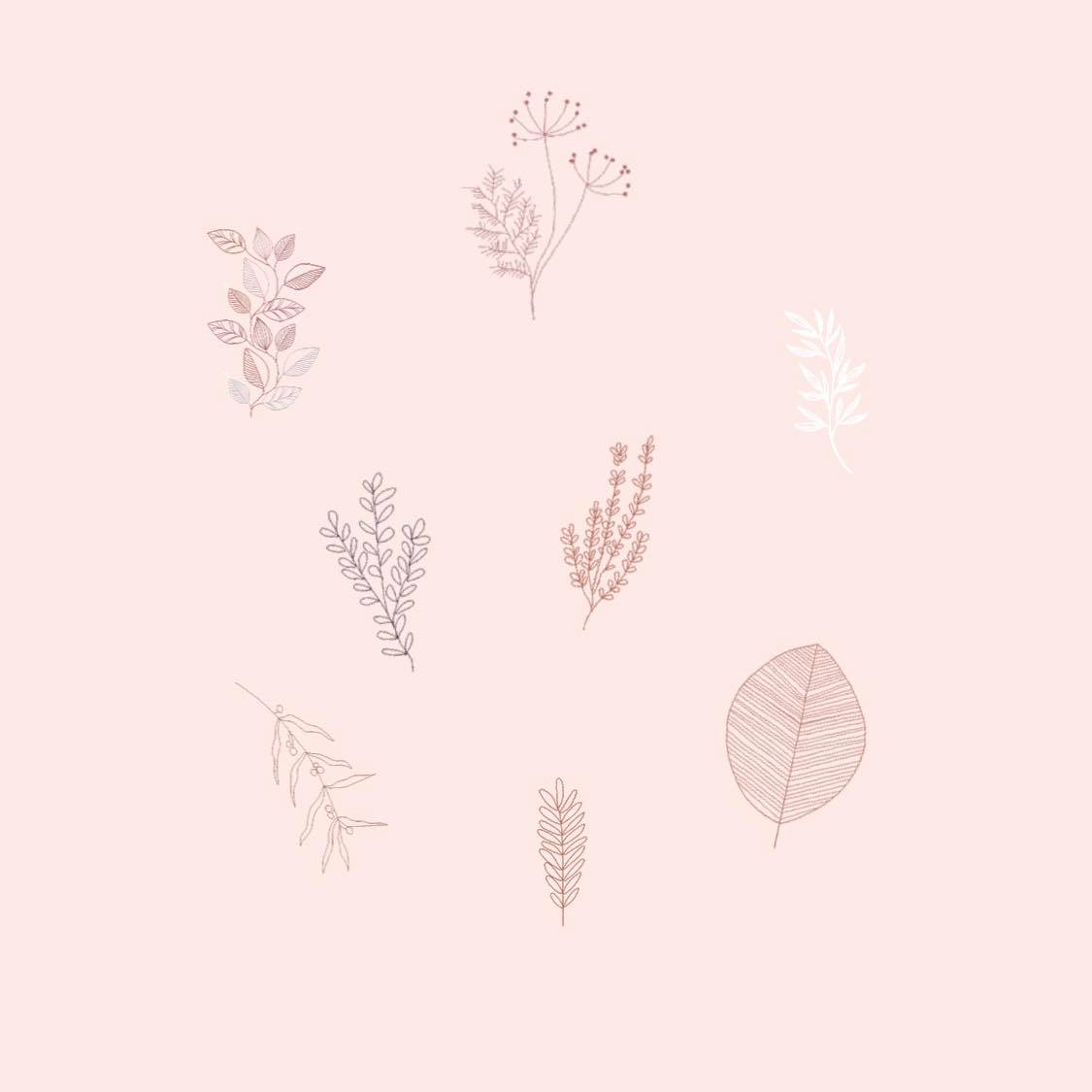 Instagram GIF 搜索关键字:? clodidu