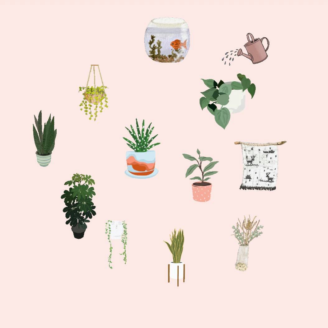 Instagram GIF 搜索关键字:? houseplant