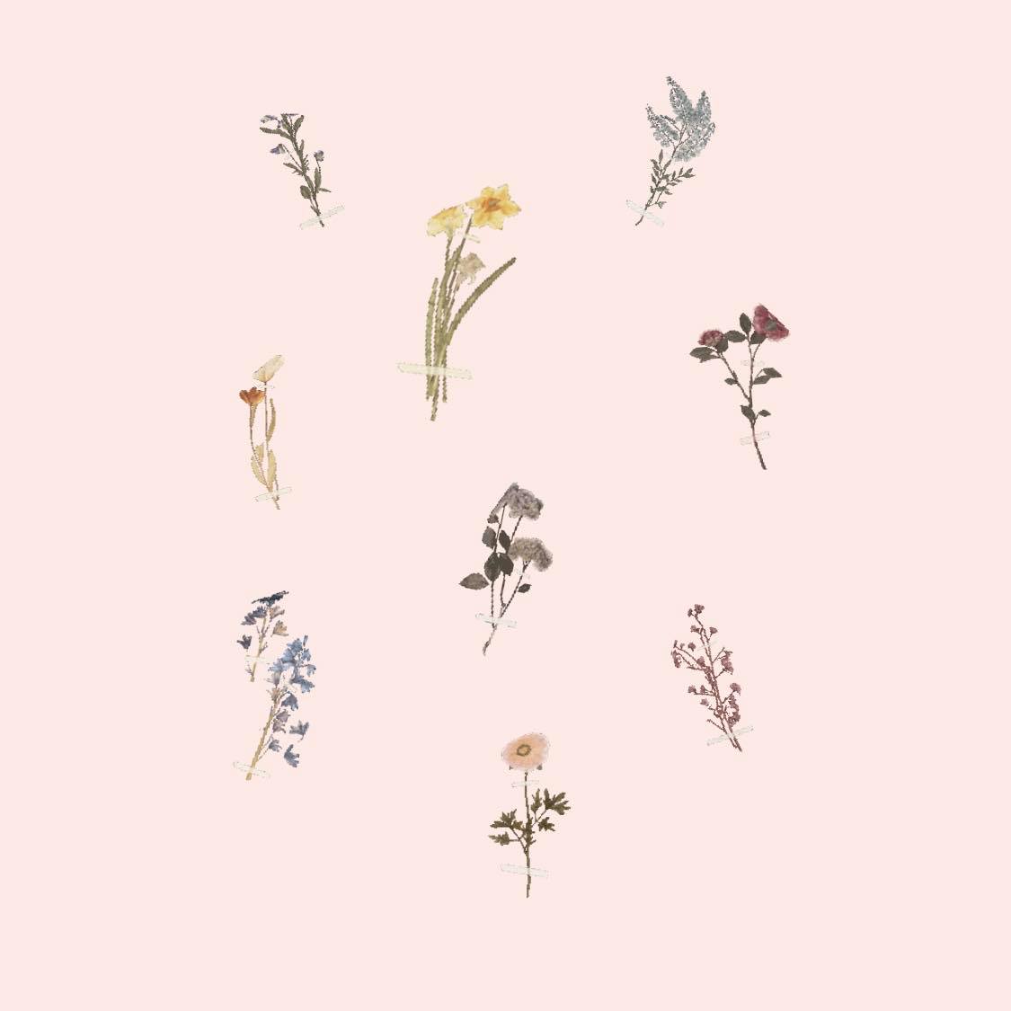 Instagram GIF 搜索关键字:? gucci fiore