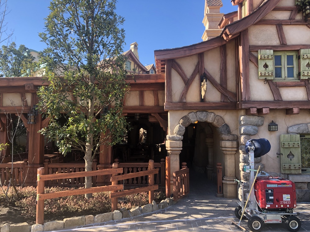 TDL_Fantasyland020220_19