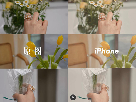 iphone 内建调色 style 4