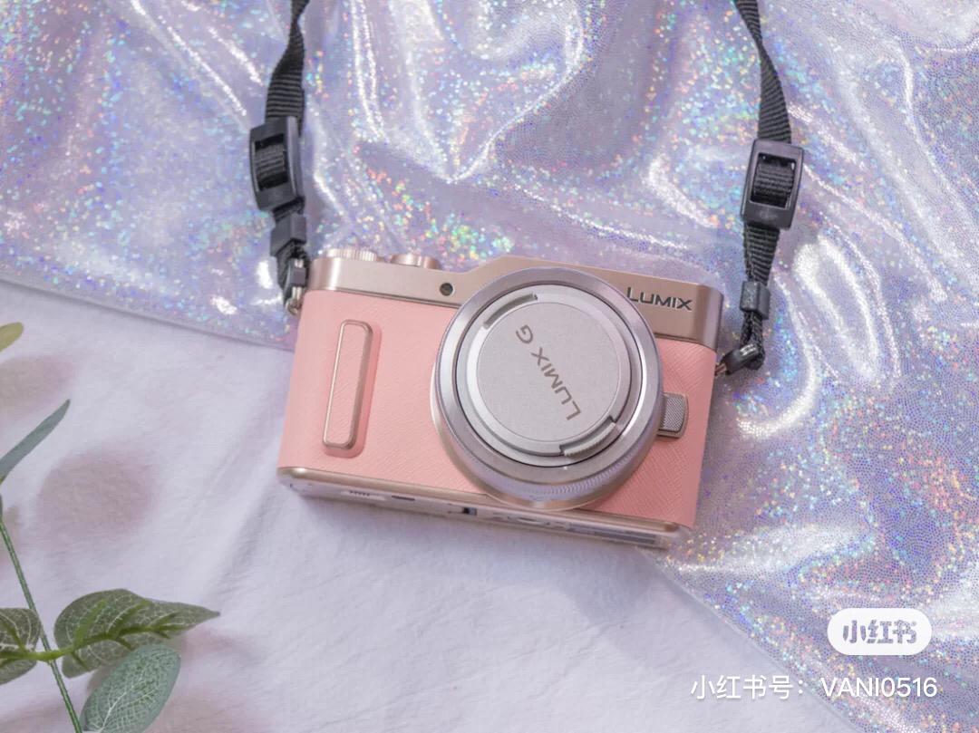 lumix 粉色相机 14