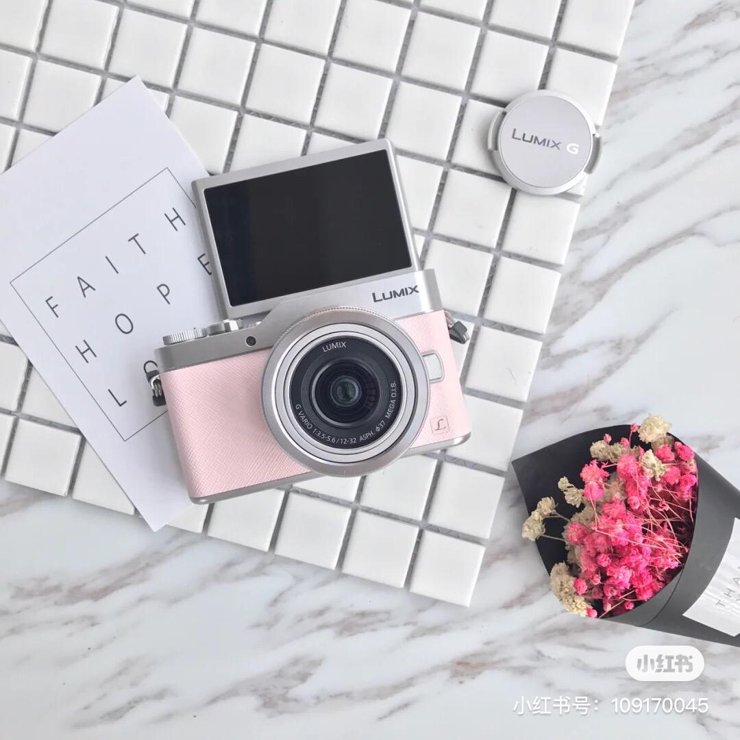 lumix 粉色相机