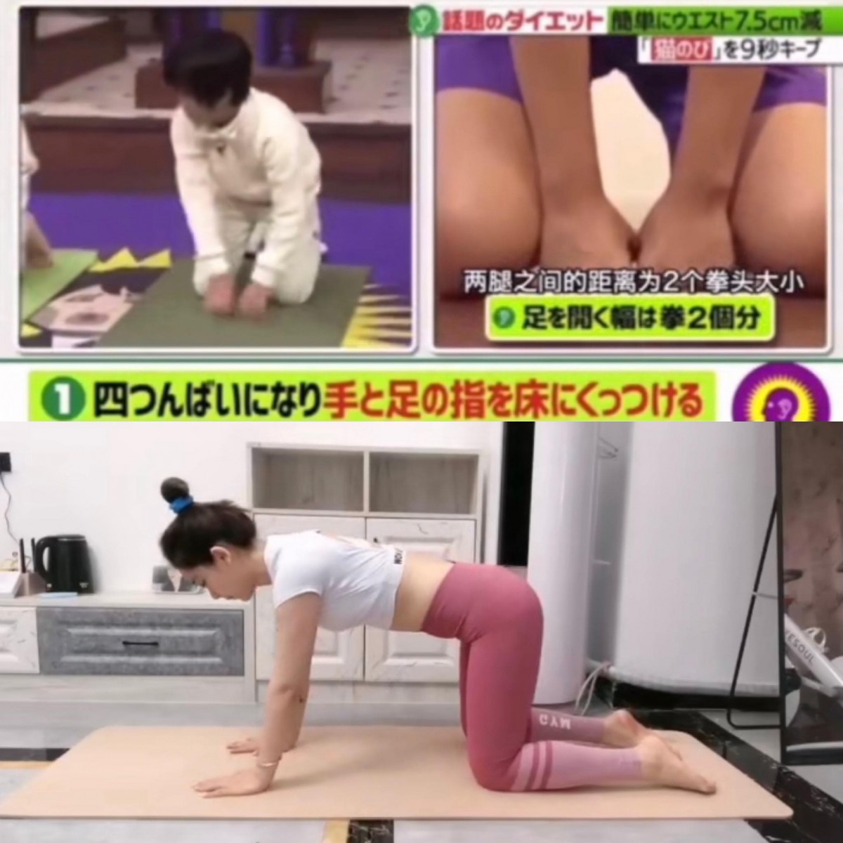 ✨第一招：日本喵式伸展操 首先四肢伏地，双膝之间打开的距离大约2个拳头大小～手掌和脚背紧贴地面。用鼻子吸气的同时小腹凹陷+微微抬起小腹，屏住呼吸维持9秒。这个收腹瘦腰的原理是，肚子凹陷时会生成荷尔蒙刺激腹肾使代谢变好～