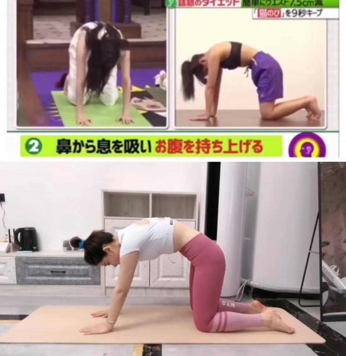 ✨第一招：日本喵式伸展操 首先四肢伏地，双膝之间打开的距离大约2个拳头大小～手掌和脚背紧贴地面。用鼻子吸气的同时小腹凹陷+微微抬起小腹，屏住呼吸维持9秒。这个收腹瘦腰的原理是，肚子凹陷时会生成荷尔蒙刺激腹肾使代谢变好～