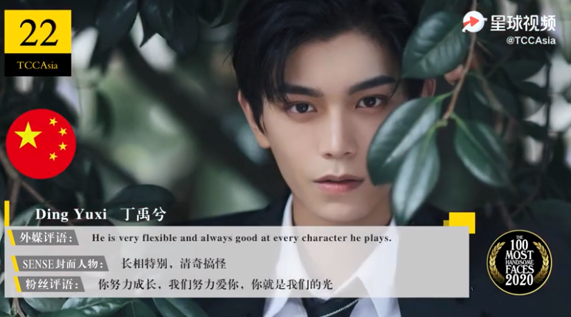 丁禹兮