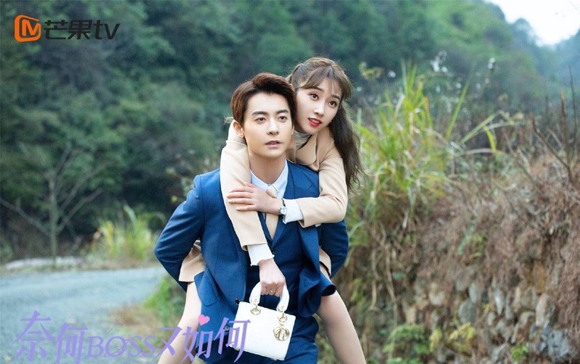 奈何 boss 又如何