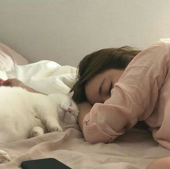 824b72b821900de9217a91f2268a17db