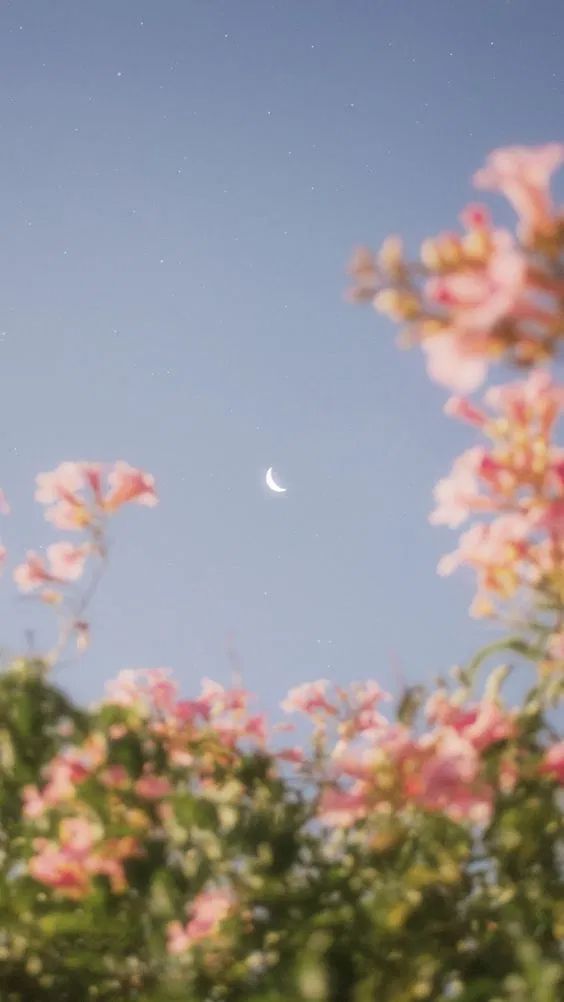 ✨ 韩系意境风格手机Wallpaper | # 如果你很难过,那就看看天空吧~它那么大那么辽阔,一定可以包容你所有的难过和委屈 ❤️