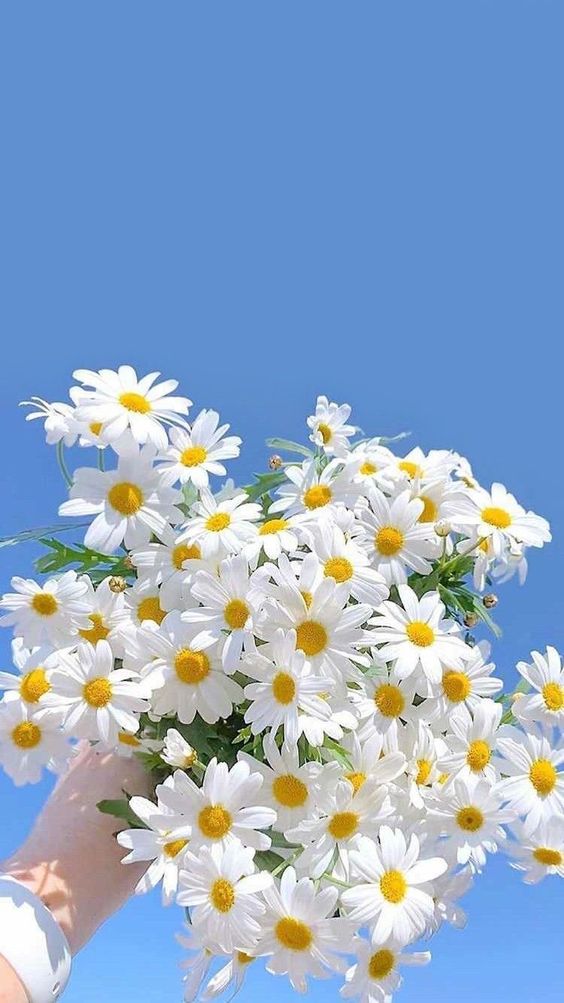 ✨ 治愈系手机壁纸Wallpaper · 韩风实景 「你的好运,藏在了你的努力里 ❤️ 努力生活,就会发现生活藏起来的糖唷!」