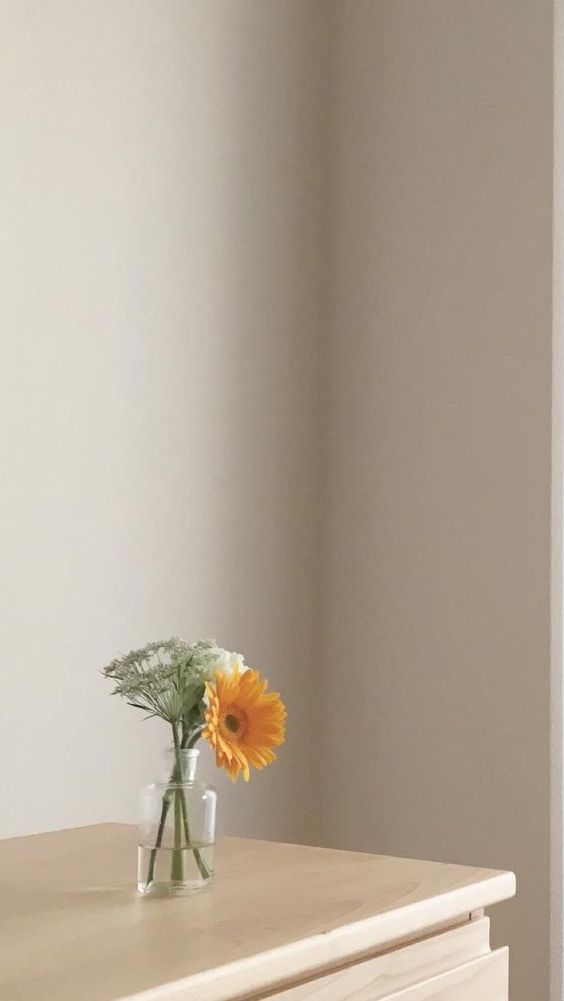 ✨ 治愈系手机壁纸Wallpaper · 韩风实景 「你的好运,藏在了你的努力里 ❤️ 努力生活,就会发现生活藏起来的糖唷!」