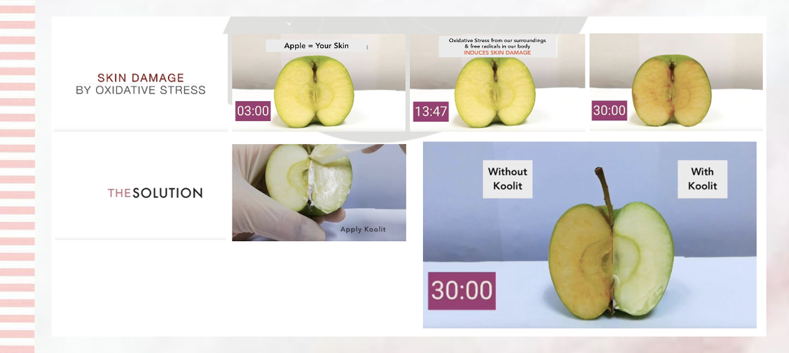 Koolit 抗氧化功效