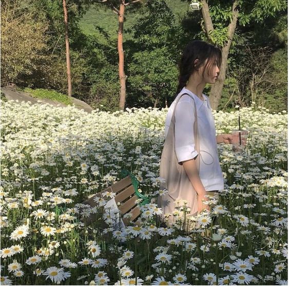 8ce395292c4091d8247286695b69513c