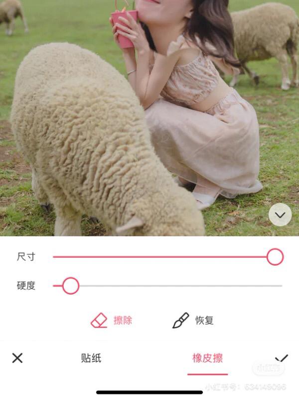 大头 P 图照 6