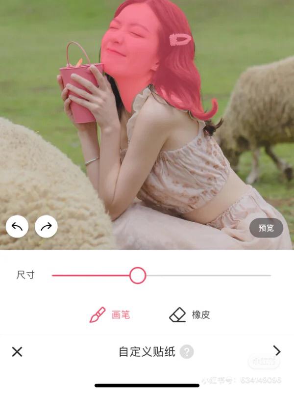 大头 P 图照 4