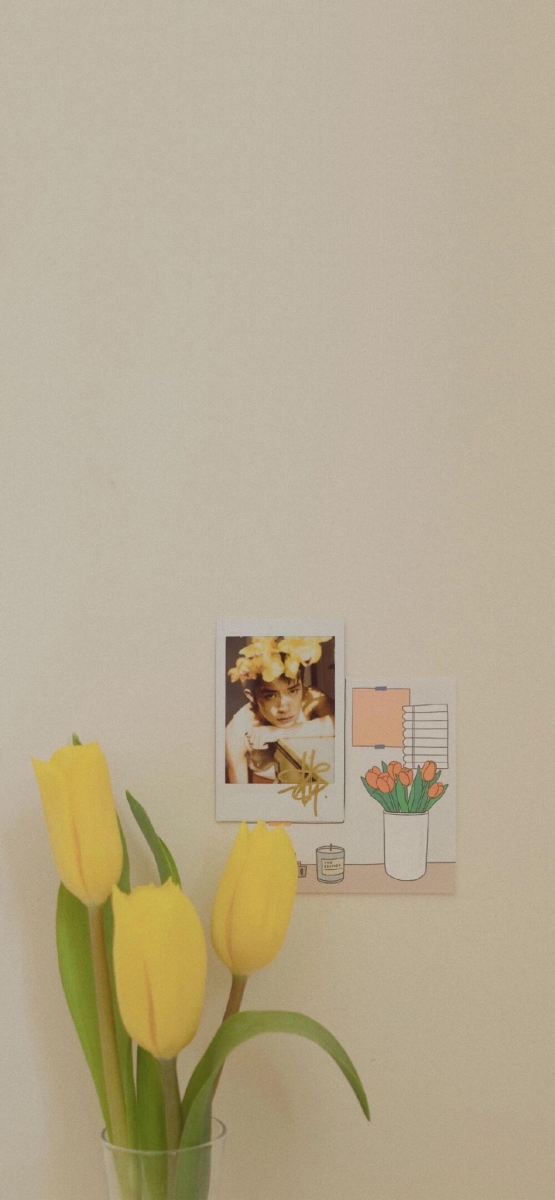 手机壁纸桌布：躲起来的星星都在努力发着光，所以你也要加油！