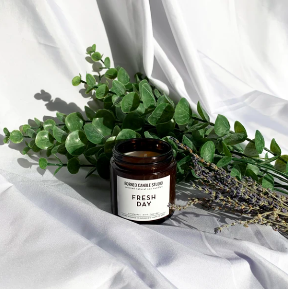 Screen Shot 2020-12-08 at 1.03.21 PM