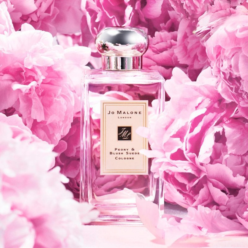 # 4 Peony & Blush Suede 牡丹与胭红麂绒 前调是清甜多汁的苹果香气,糅入玫瑰、茉莉、紫罗兰等温柔娇媚的花香调;交织的麂绒香气不经意展现超撩人微性感风情~轻熟女必GET!这款温柔妩媚的香气据说男生女生闻了都会很上瘾唷~(笑)