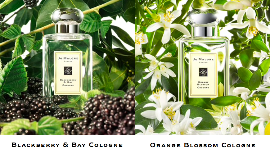 Jo Malone 混香Tips 4 :Blackberry & Bay 黑莓子与月桂叶 x Orange Blossom 橙花 黑莓的果香中和的橙花本身带有的苦味,两者交织在一起更添层次和气质感,呈现暖调女香,很有独特性更不容易撞香!