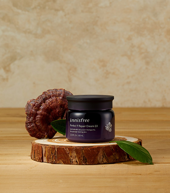 Innisfree Perfect 9 Repair Cream Ex 2