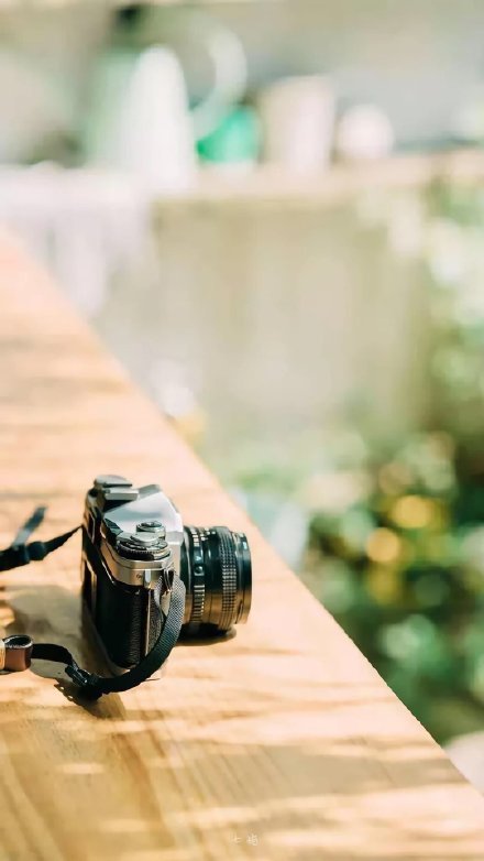 每个优秀的人都有一段沉默的时光;那段时光,是付出了很多努力,却得不到结果的日子。我们把它叫做扎根。