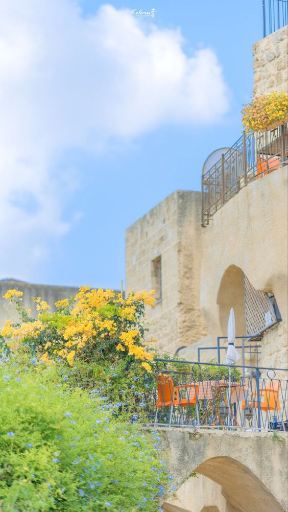 岁岁常喜乐、事事皆胜意。