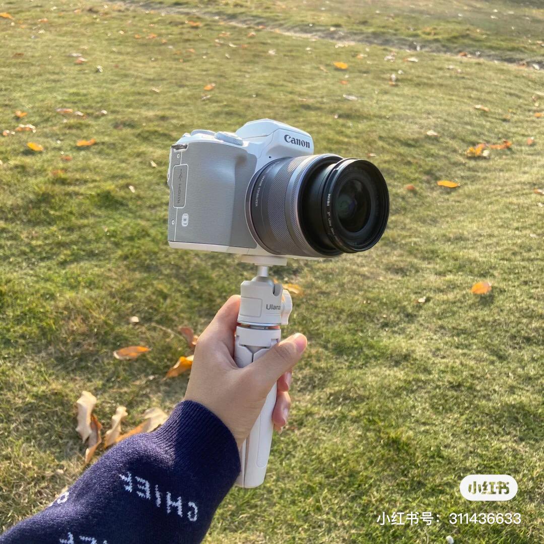 canon 牛奶白 12