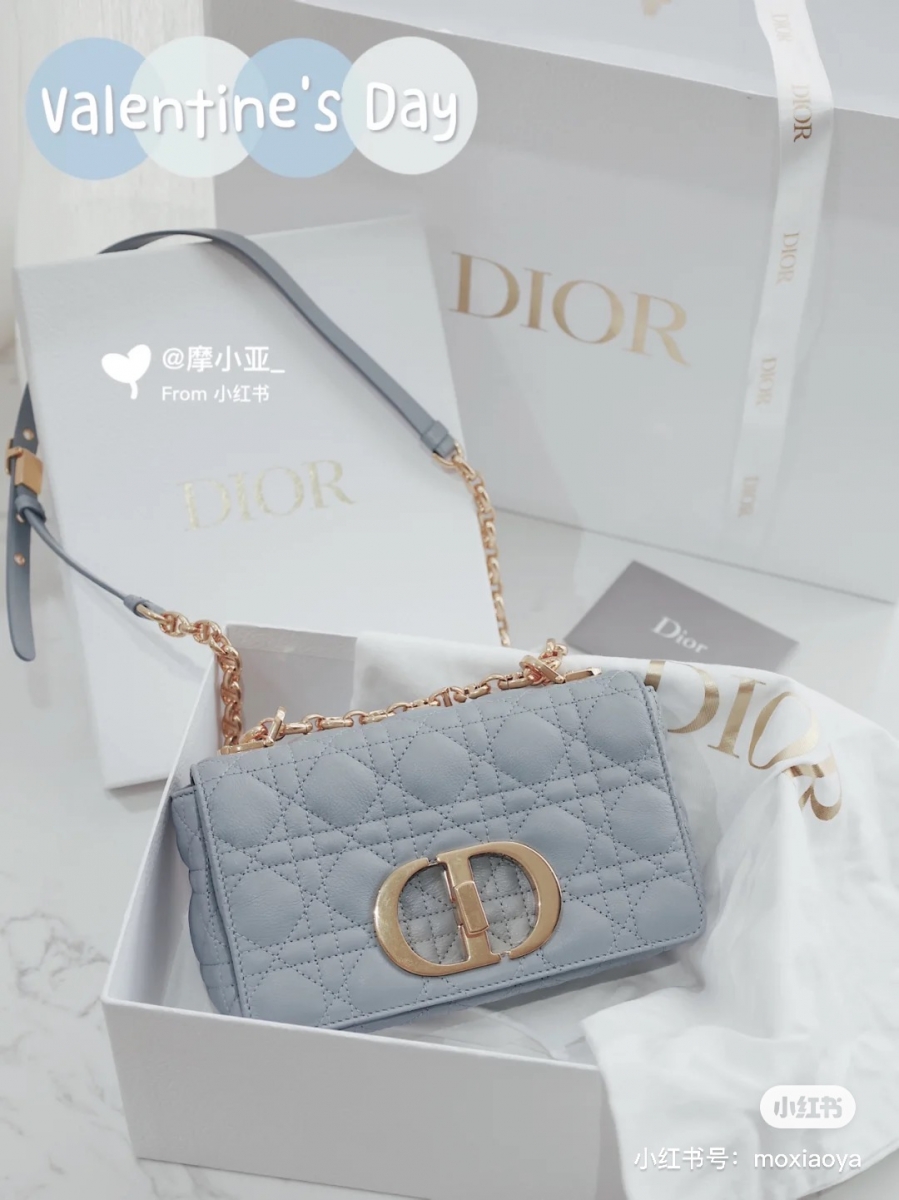 # DIOR 2021 Caro 小包