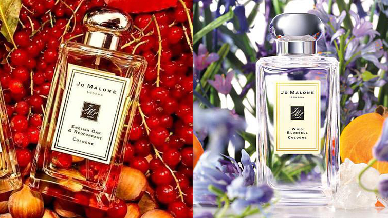 English Oak & Redcurrant 英国橡树与红醋栗✖️Wild Bluebell 蓝风铃