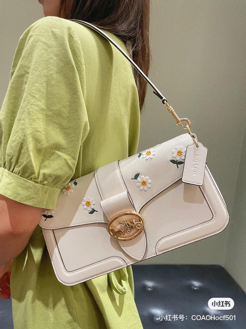 小雏菊 coach 7