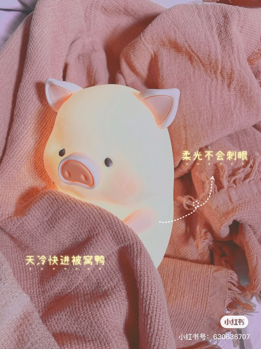 除了触控调节灯光明暗，套装里还有附遥控器，可以远程调节亮度且设定定时关闭，凌晨入眠后自动关灯不怕耗电。