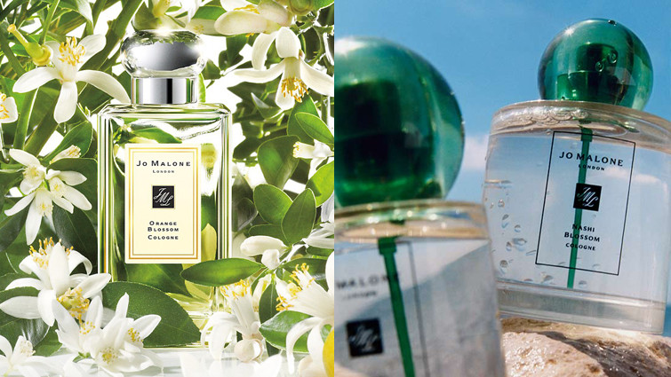Orange Blossom 橙花✖️Nashi Blossom 水梨花