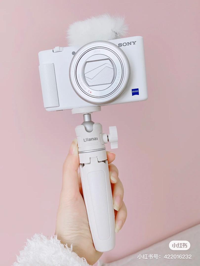 Sony ZV-1「雪白」6