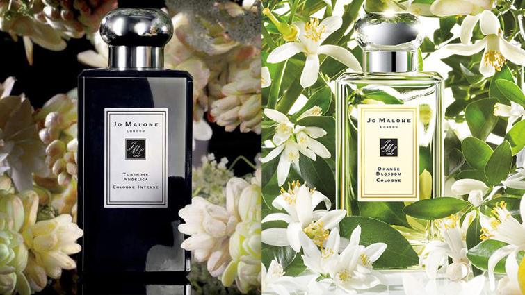 Tuberose Angelica 晚香玉与天使草/当归 ✖️Orange Blossom 橙花