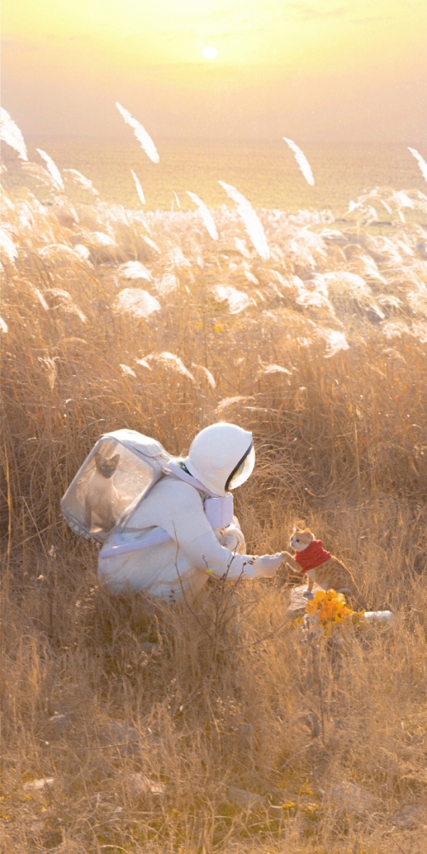 「有些东西根本不配占据你的情绪。人生就是场体验,请你尽兴一点、开怀一点,享受每一天。」