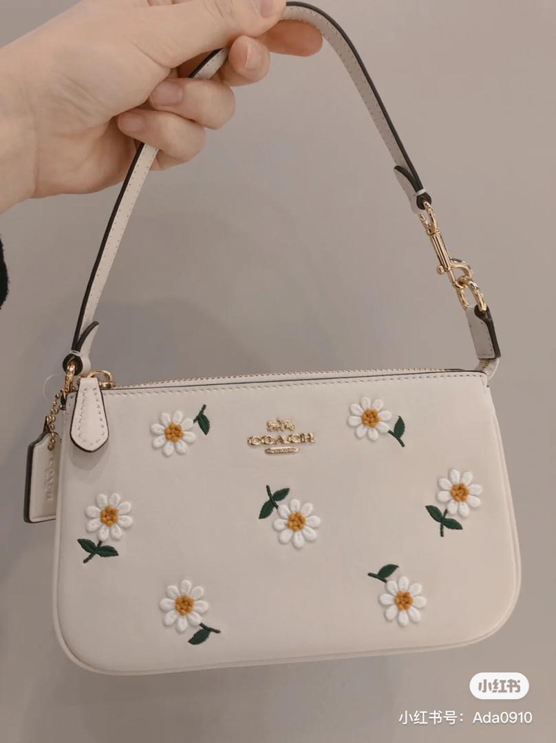 小雏菊 coach 14