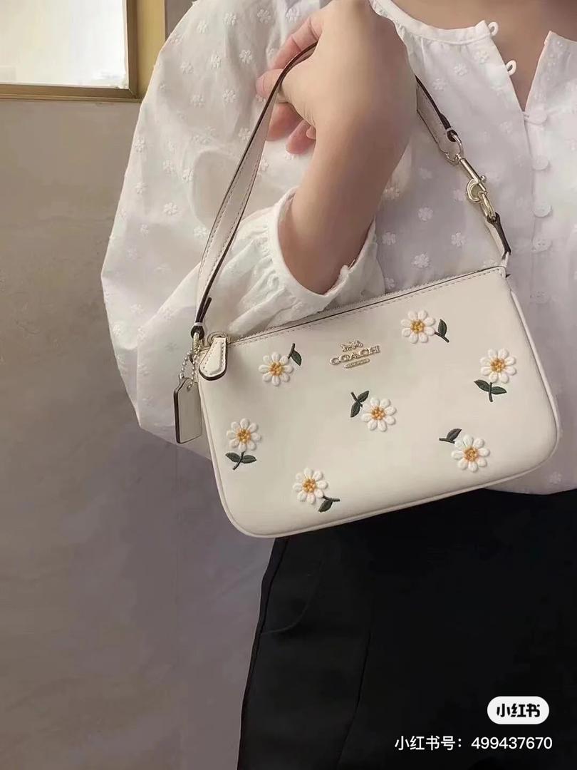 小雏菊 coach 17