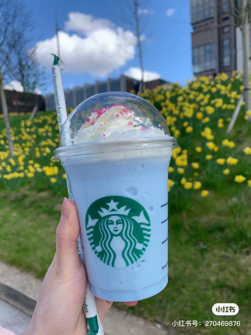 「棉花糖蓝」星冰乐 11