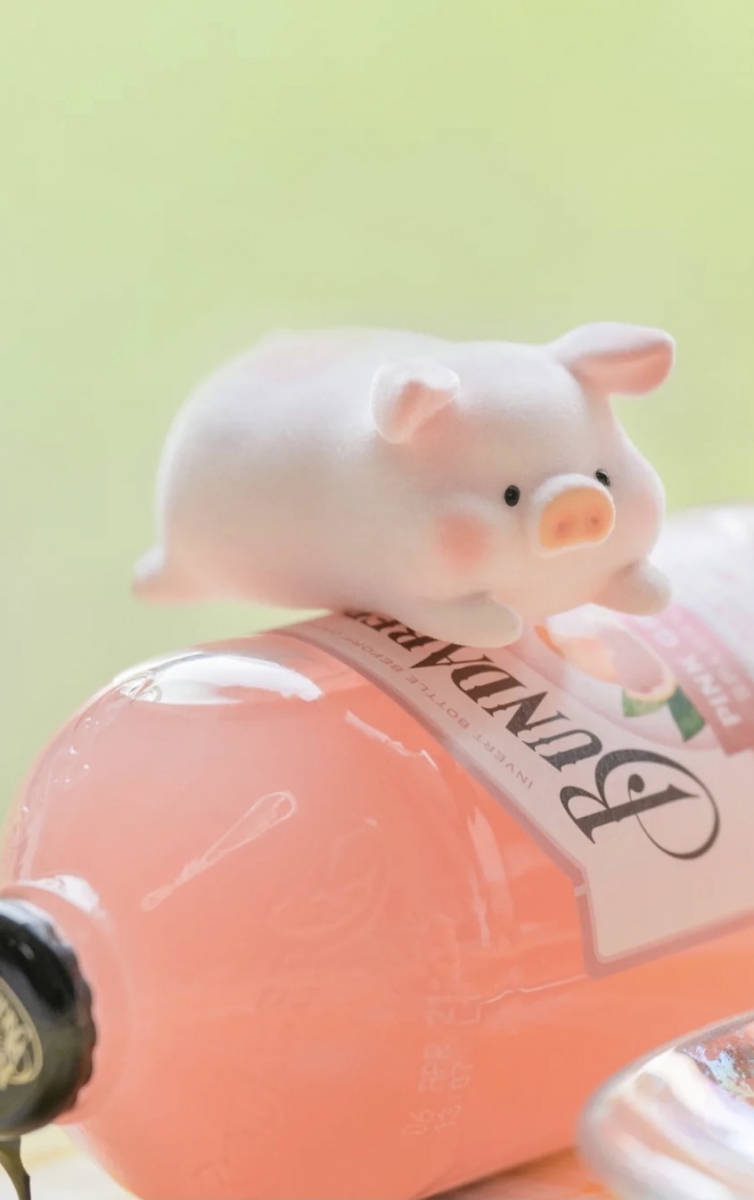 「我不期待人生过得一帆风顺，只希望碰到人生难关时，自己可以是它的强劲对手、不被打倒。」