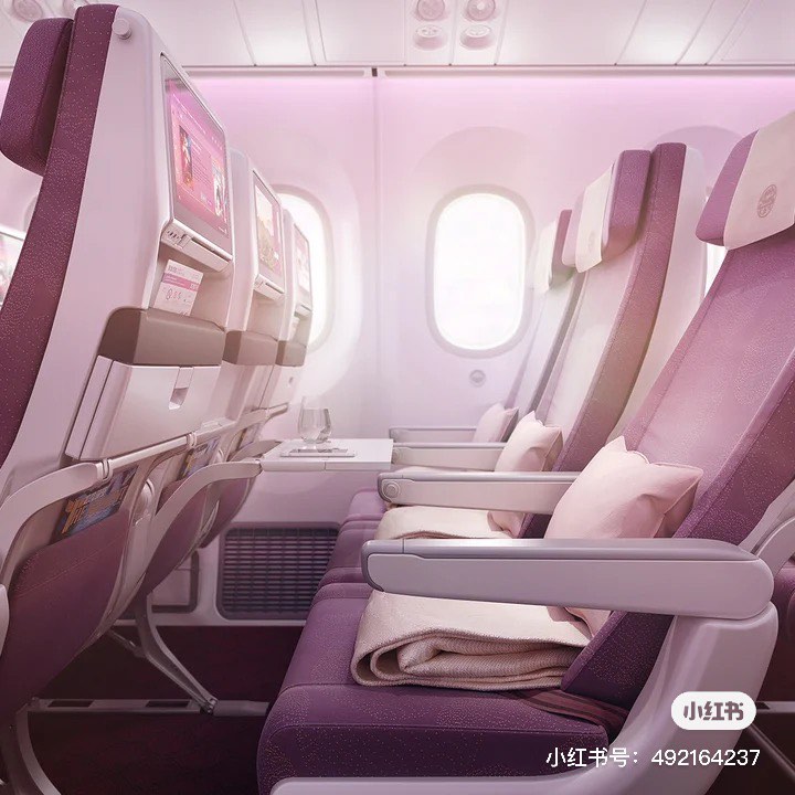 据知787-9客舱主题名字是「梦旅生花」，客舱内部设计采用了中国风、牡丹作为灵感来源，大面积的低饱和度莫兰迪粉紫色系，尽显极致浪漫。