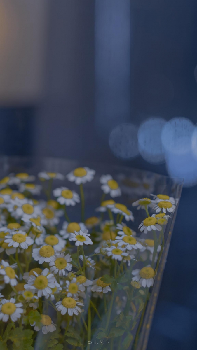 「好好生活，慢慢相遇。」