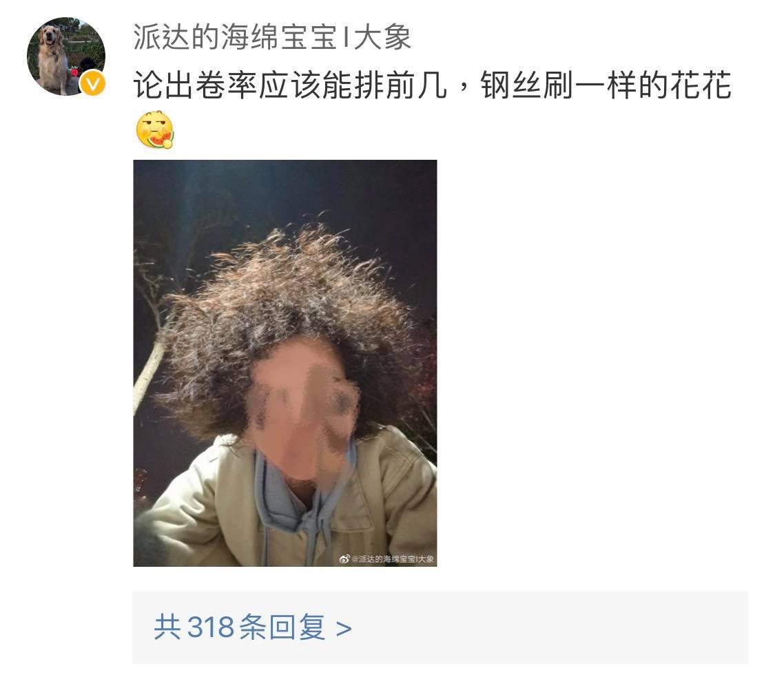 网民爆笑晒出自己的烫发失败真实经验：「像钢丝刷一样…」、「二十岁出头…老了二十岁，尴尬的事赶集的路上还遇到了各种大妈同款！」、「别人烫完是INS风小姐姐、是初恋女神发型，我烫完瞬间老30岁变大婶！？」