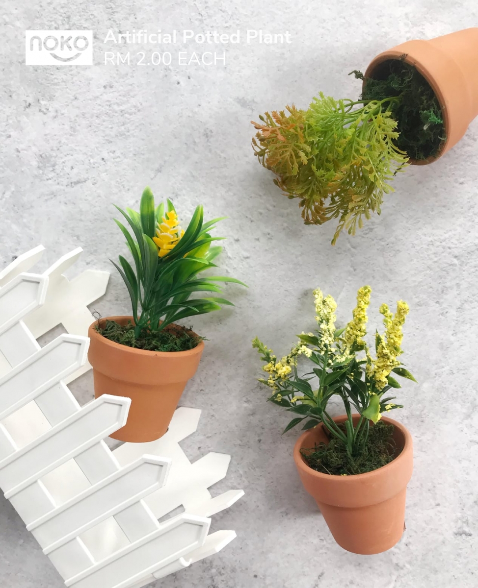 75580285_2798515846879459_2882691373725646848_n