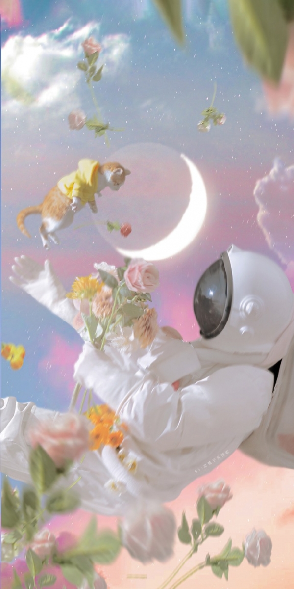 「你最美的样子，不是花枝招展，而是靠自己拥有了不错的生活之后，依然努力的样子。」