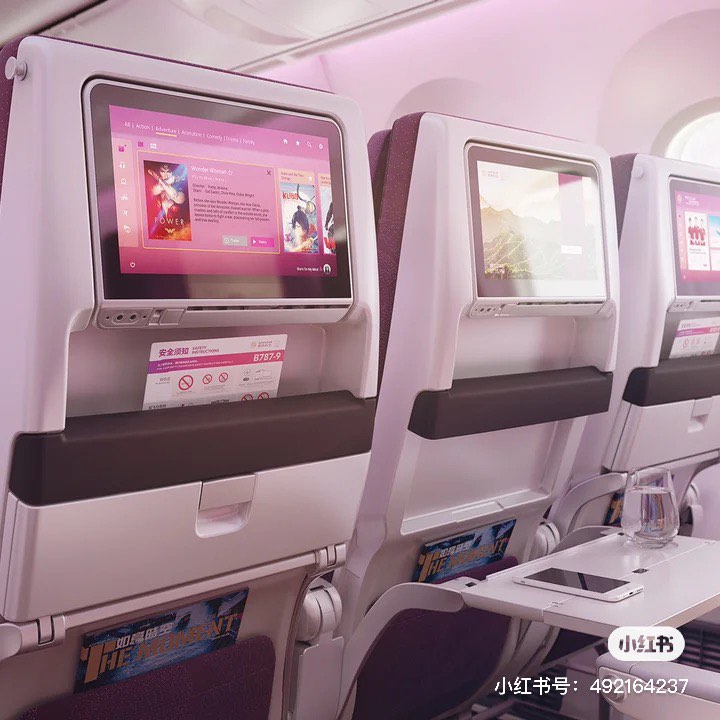 据知787-9客舱主题名字是「梦旅生花」，客舱内部设计采用了中国风、牡丹作为灵感来源，大面积的低饱和度莫兰迪粉紫色系，尽显极致浪漫。